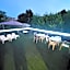 HOTEL VILLA ELISA