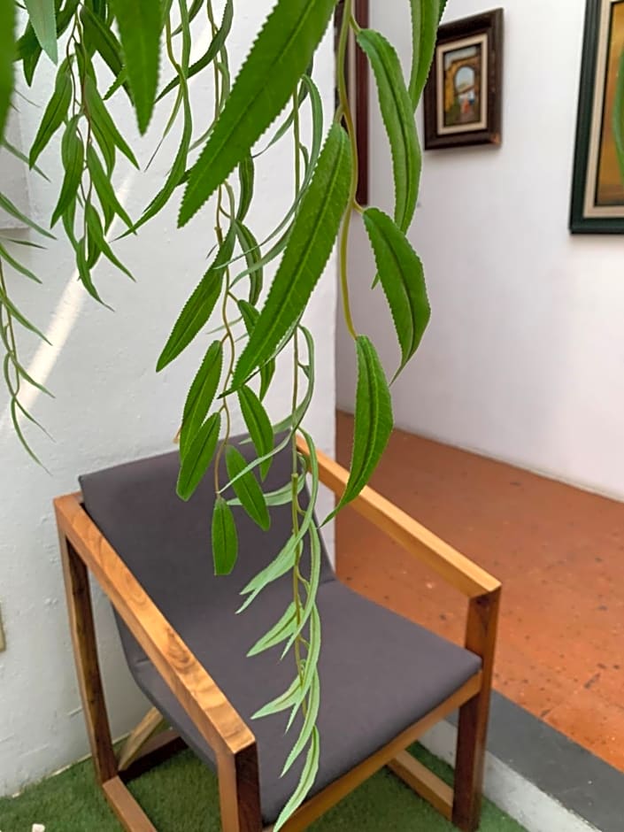 Hotel Dos Patios, Holistico Boutique & SPA