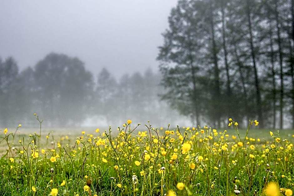 Hotel Barczyzna Medical Spa