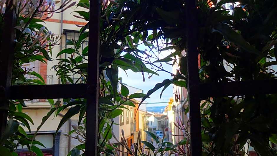 Hotel Rural Cayetana