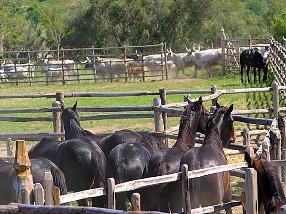 Casalventodimare e Tramontana