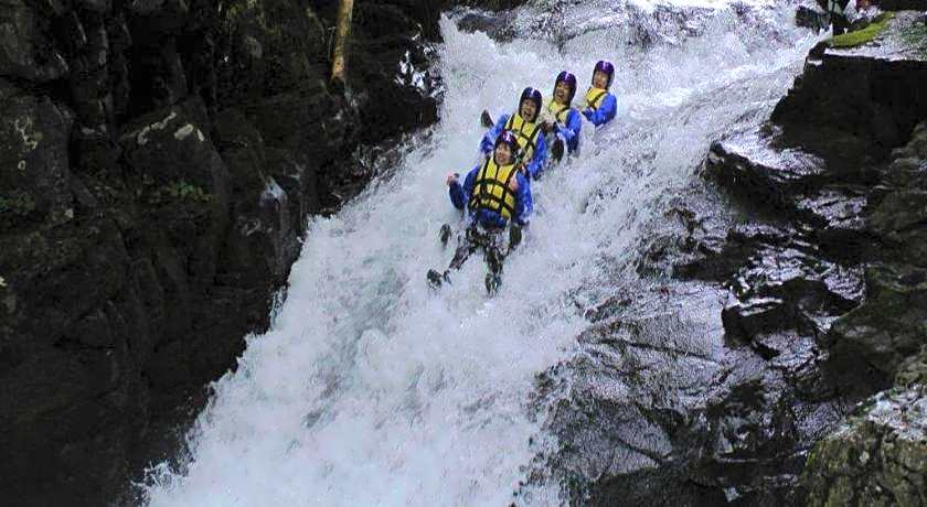 Petit Hotel Blanc Fleur