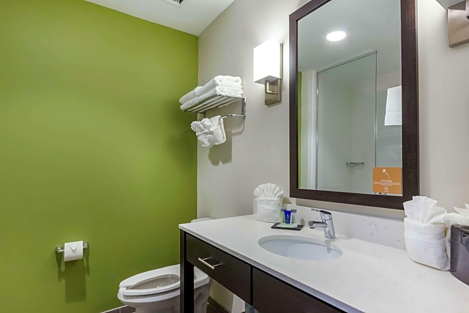 Sleep Inn & Suites Tampa South
