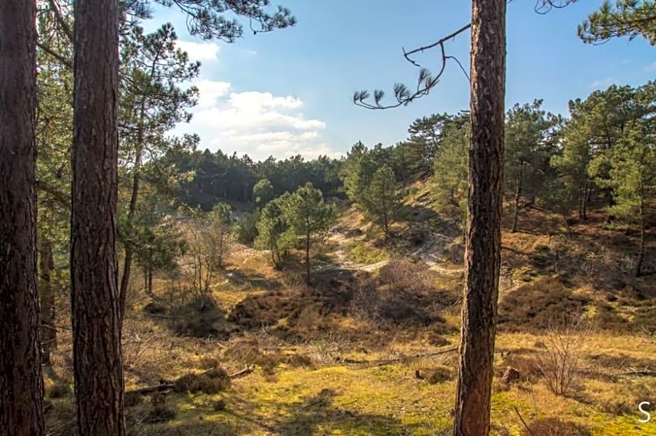 Loft 55 Bergen-Schoorl Luxury Appartement 165m2