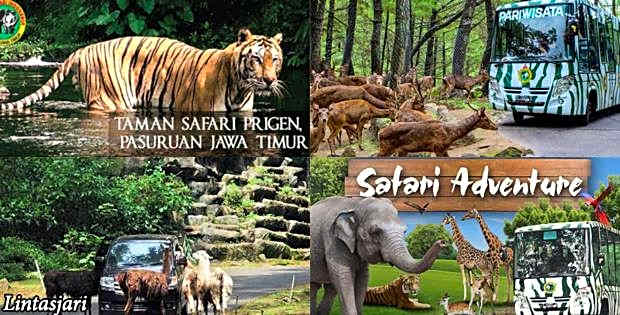 GIO Guesthouse Bogor (perlu bukti nikah)