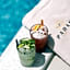 Padam Hotel & SPA