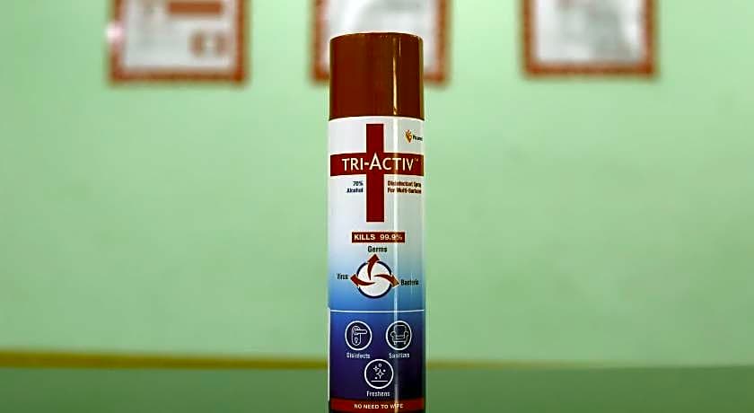 Hotel Padmini International