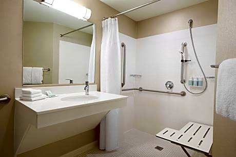 Studio, 1 King Bed (Mobility/Hearing Access, Roll-In Shwr) (1 King Bed)