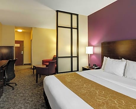 1 King Bed, Suite, Nonsmoking