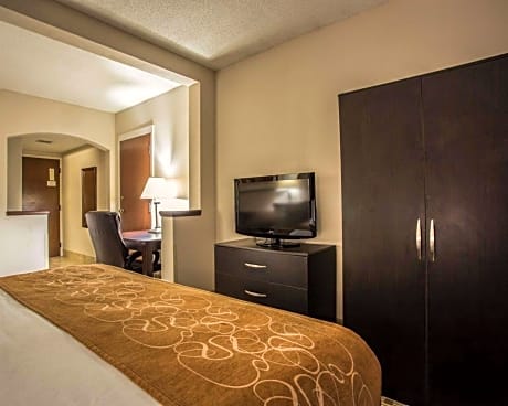 1 Double Bed, Suite, Nonsmoking, Accessible