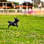 Horsham Holiday Park