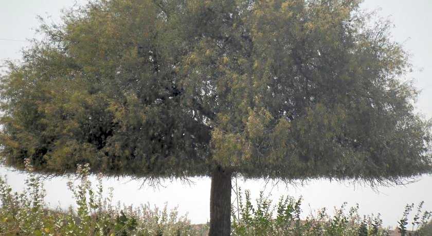 Gajanand Guest House