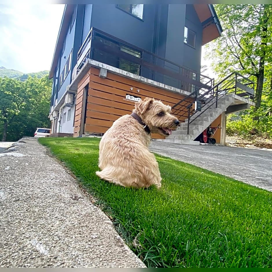Hakuba Powder Mountain