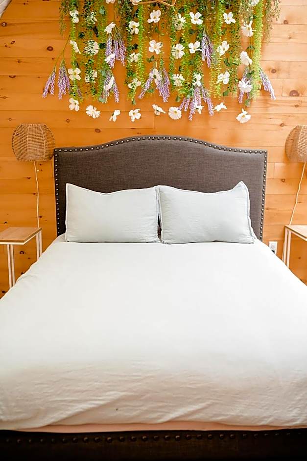 Open Sky Glamping Kawartha Dome