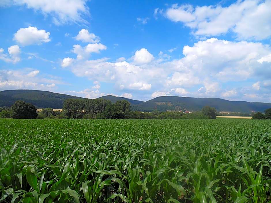 Thüringer Landhotel Edelhof