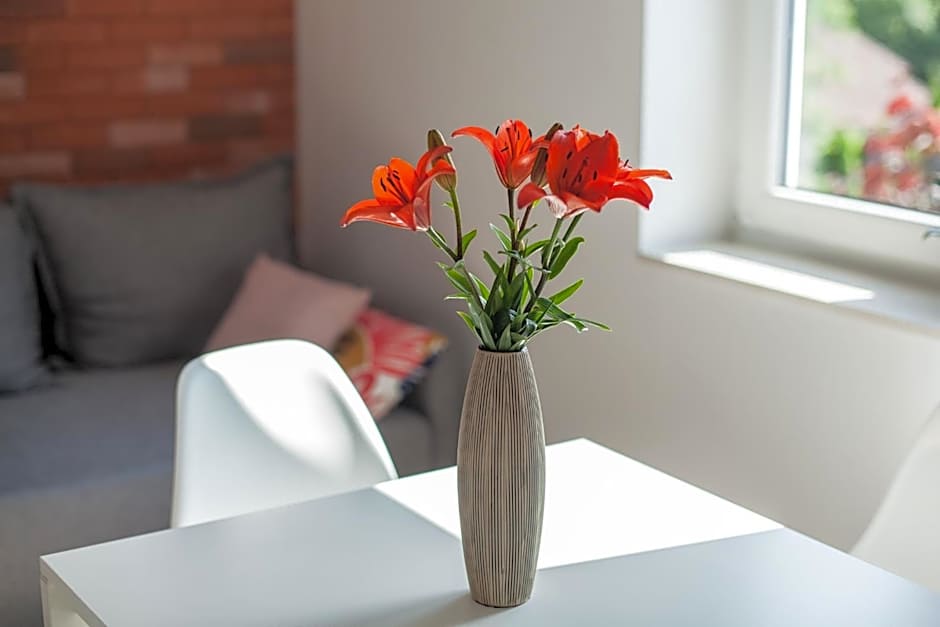 Lawendowo- sauna, jacuzzi, domki w ogrodzie i apartamenty w kamienicy