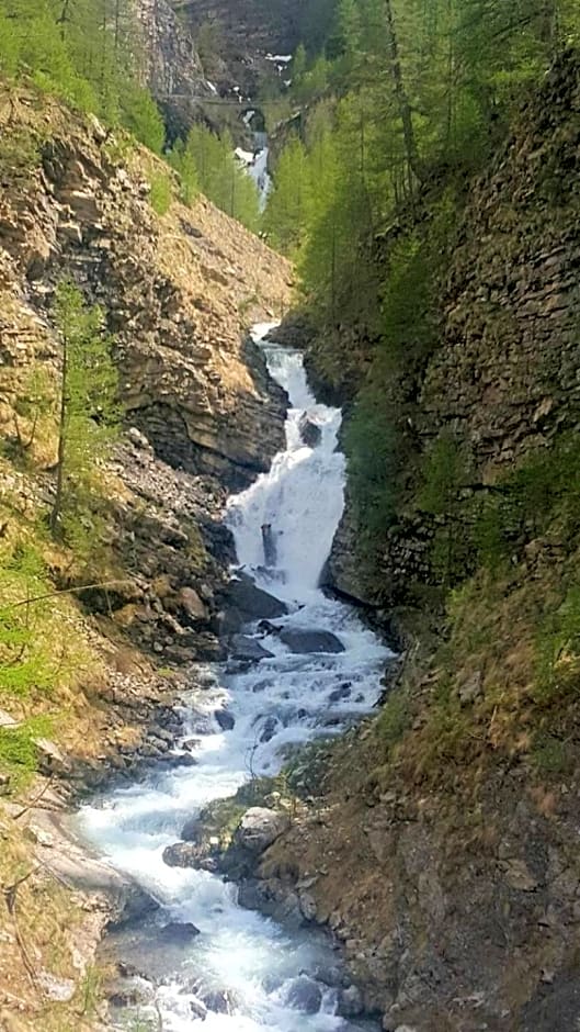 Les marmottes d Estenc