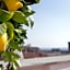Panoramic Terrazza SRL