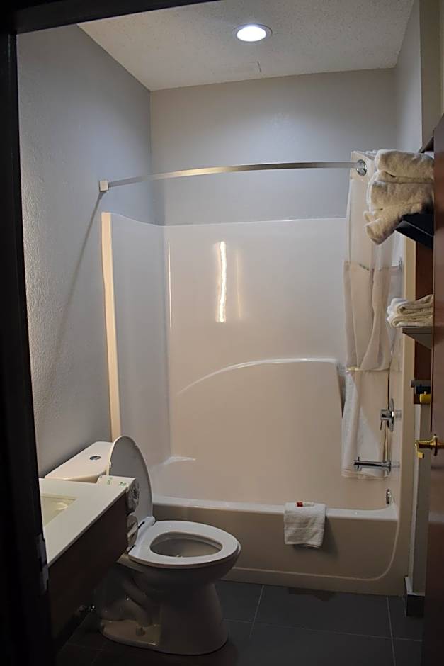 Microtel Inn & Suites by Wyndham Stockbridge/Atlanta I-75