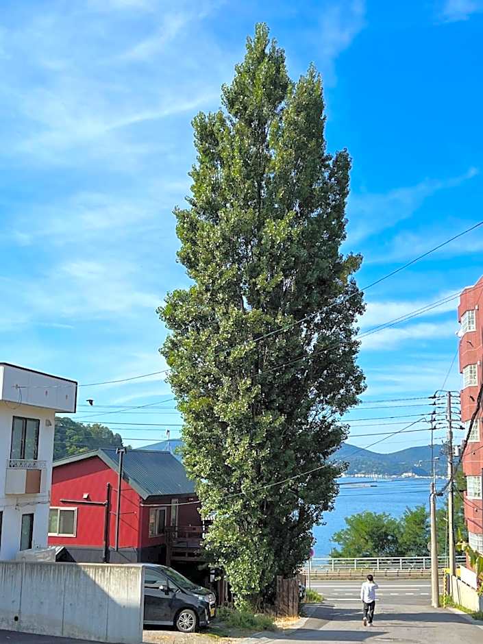 Populus-club Otaru - Vacation STAY 93686v