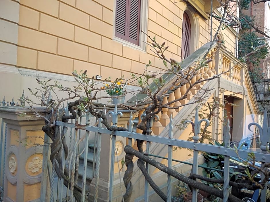 Tilia
