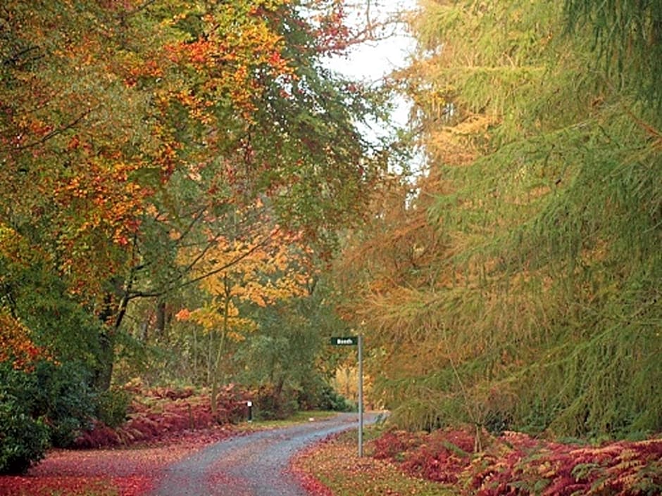 Hollicarrs - Lilypad Lodge