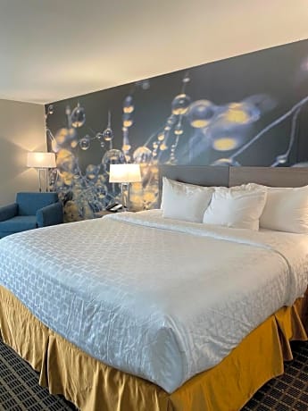 King Room - Accessible/Non-Smoking