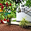 Green Villa