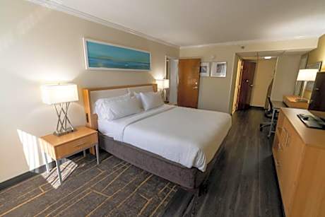 1 King Standard Communications Mobility Accessible