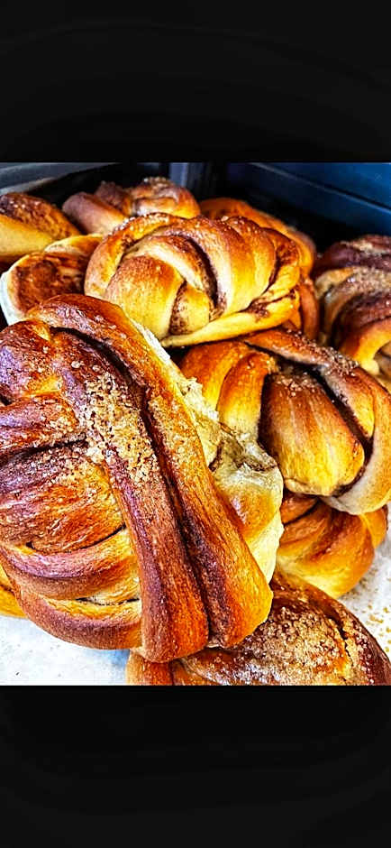 TotalApartments Seminarbakken City Studio