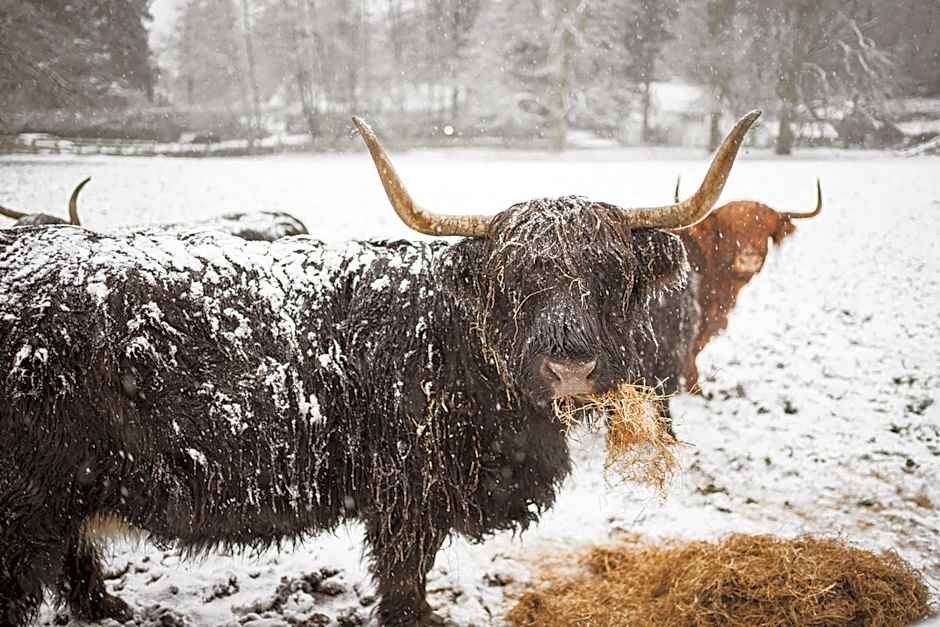 Merewood Country House Hotel and Restaurant