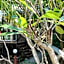 Hill Zone Home Stay by Little Paradise
