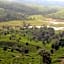 Neelakurunji Plantation Munnar