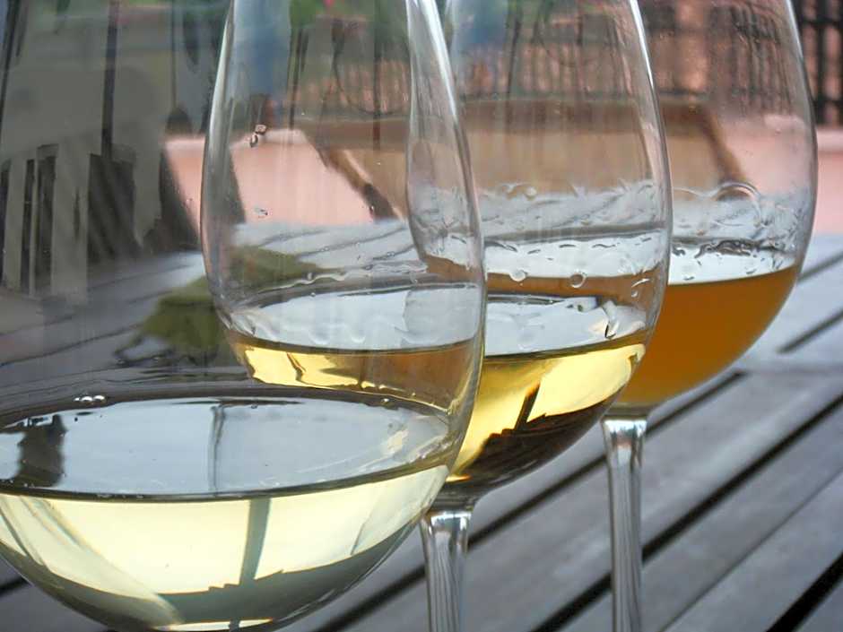 Agriturismo Grillo Iole Winery