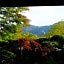 Guesthouse Sakuya