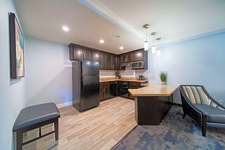 Suite-1 King Bed Non-Smoking One Bedroom Sofabed City View Full Kitchen Full Breakfast
