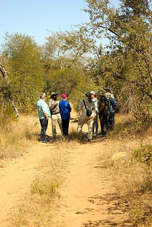 Karongwe - Chisomo Safari Camp