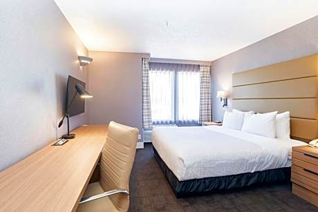 Standard Room, 1 King Bed