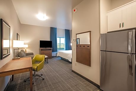 King Studio Suite with Sofa Bed