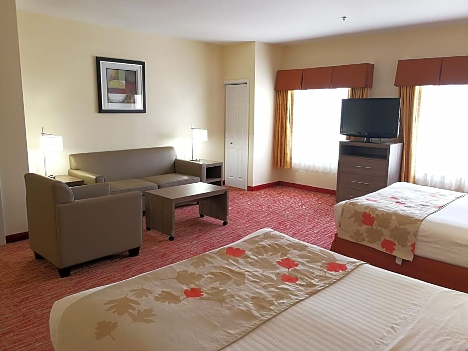 Hawthorn Suites By Wyndham Irving Dfw South