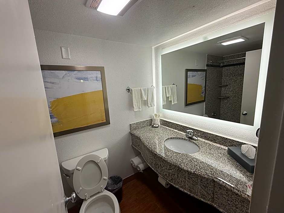 Comfort Inn Conover - Hickory