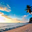 Exotic Bungalows