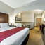 Comfort Suites Downtown Sacramento