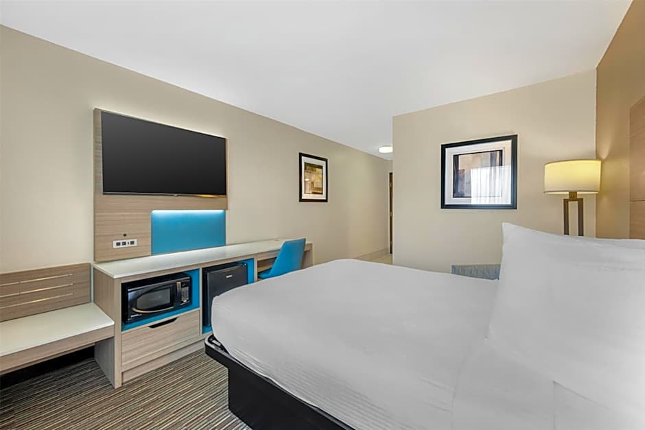 Photo 1 of 5 of 1 King Bed, Mobility Accessible, Roll in Shower