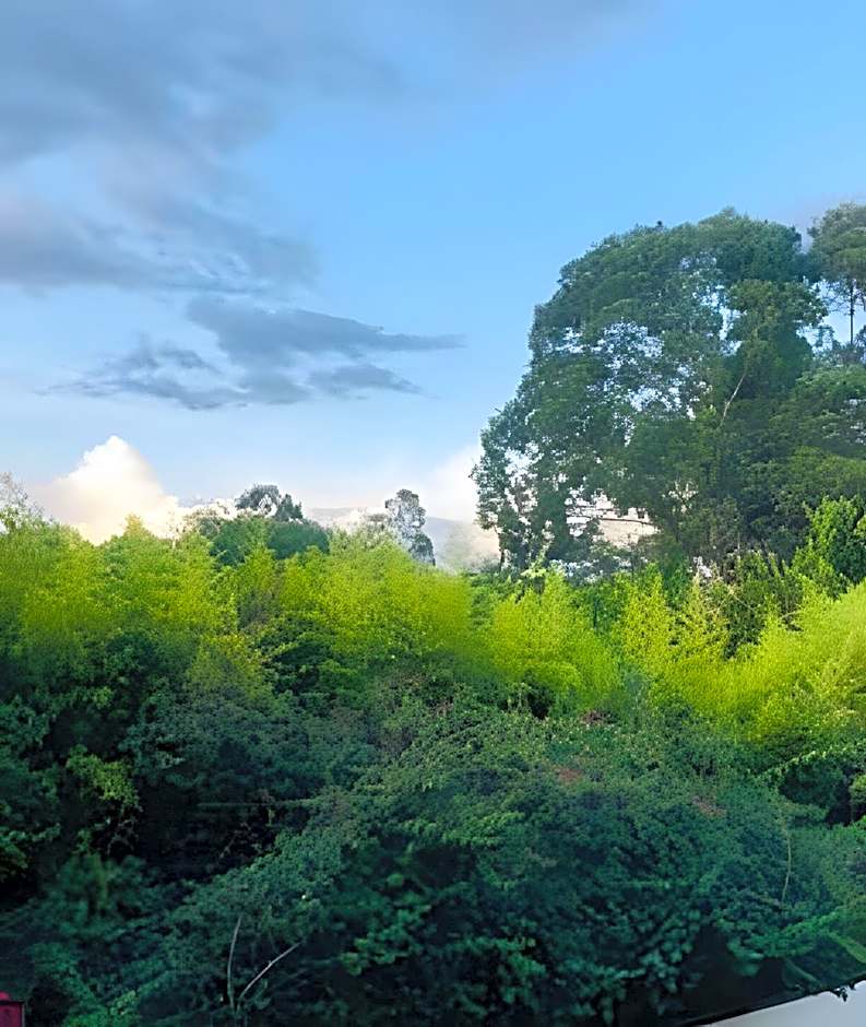 Bouganville Studio Brasília.