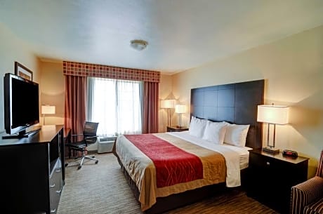 1 King Bed Nonsmoking