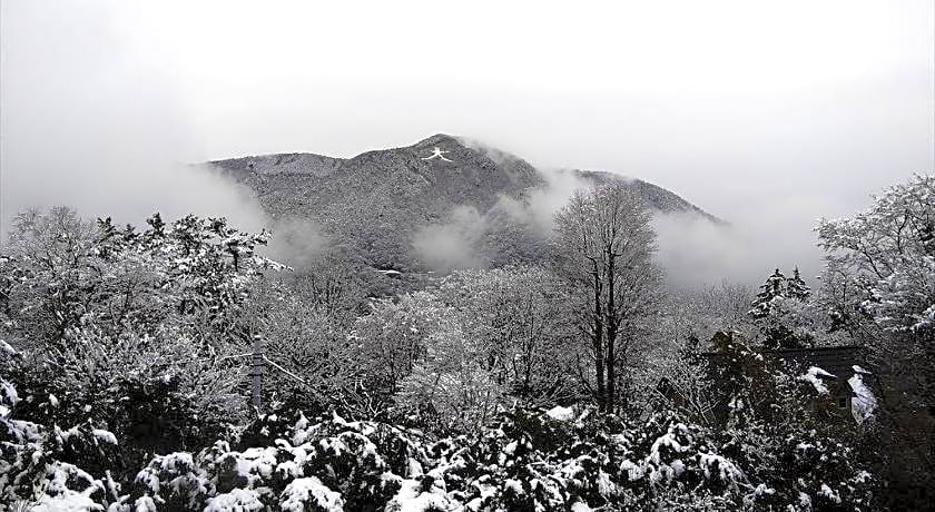 Hakone Lalaca