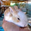 casadolcecasalatina