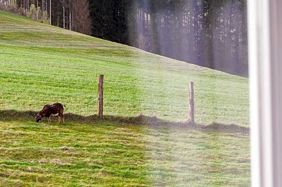 Forellenhof Wald- und Wiesenquartier