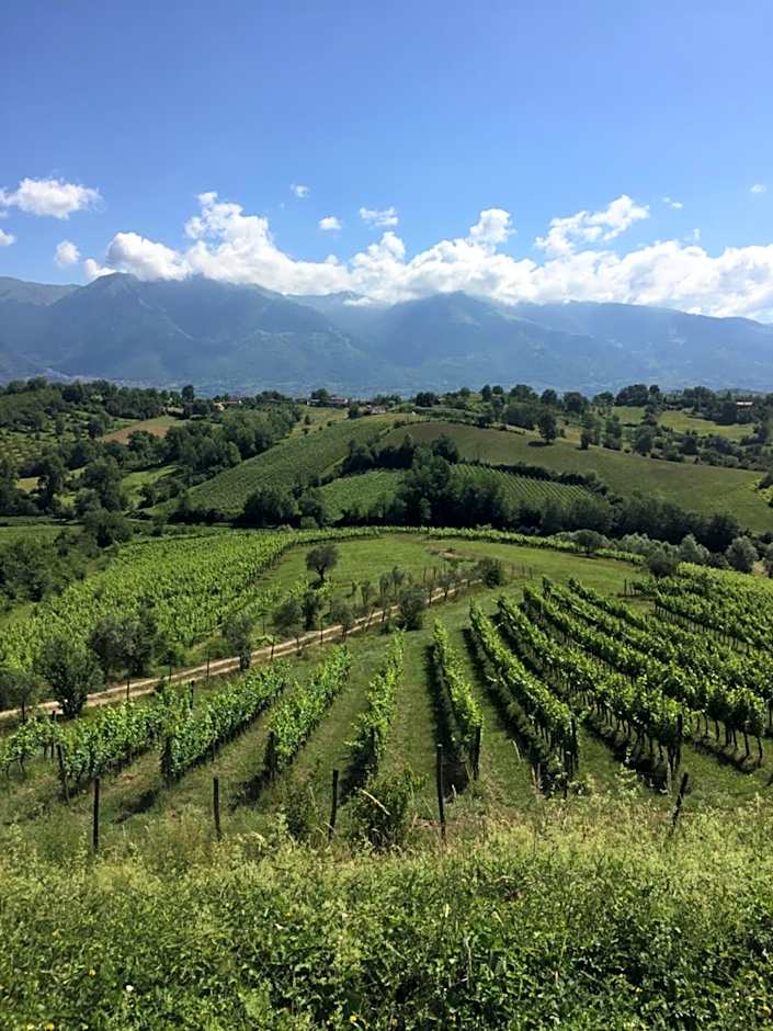 Palazzo del Senatore